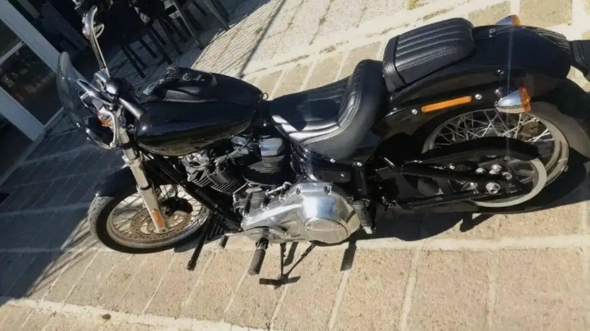 Harley-Davidson Softail Standard (2020) - FXST  (2)