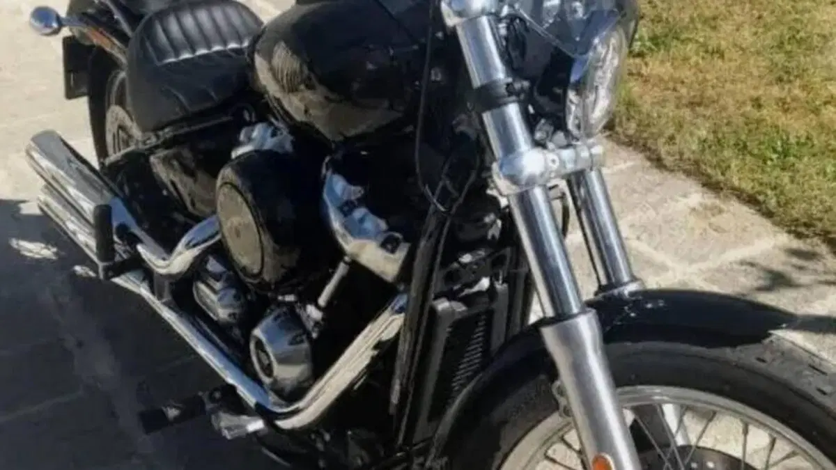 Harley-Davidson Softail Standard (2020) - FXST  (3)