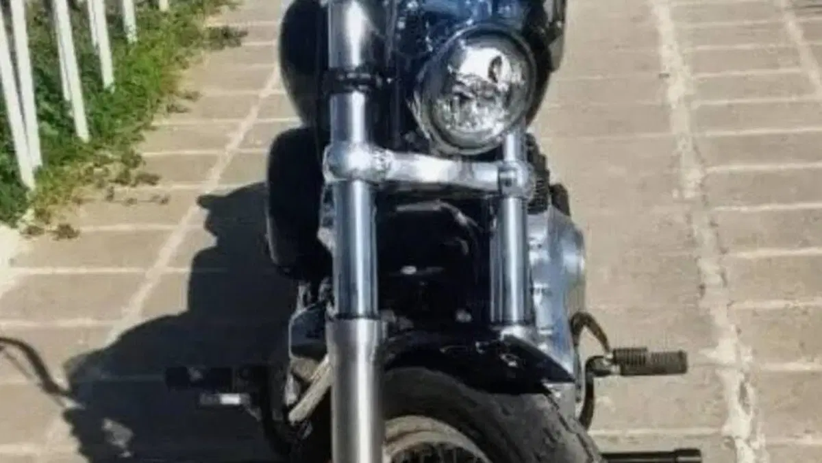 Harley-Davidson Softail Standard (2020) - FXST  (4)