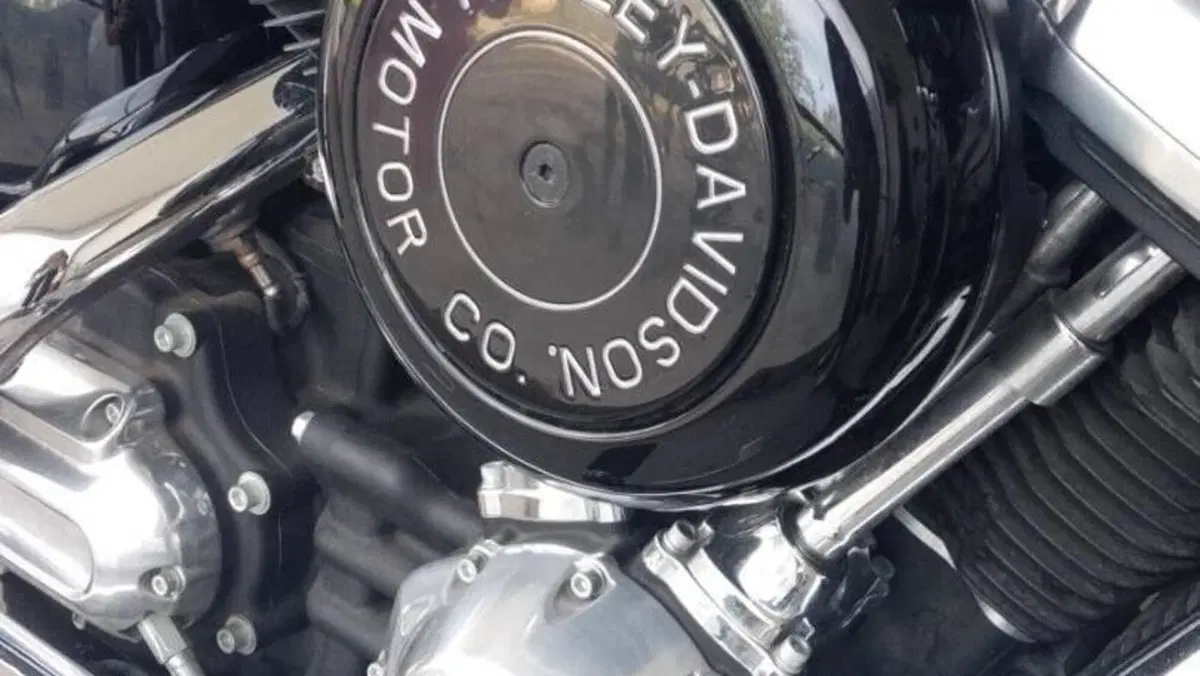 Harley-Davidson Softail Standard (2020) - FXST  (6)