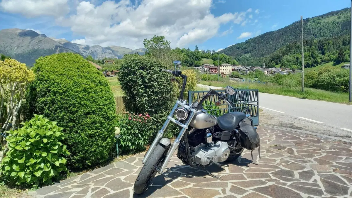 Harley-Davidson 1584 Street Bob (2008 - 15) - FXDB 