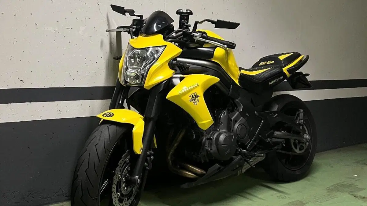 Kawasaki ER-6N (2012 - 13) 