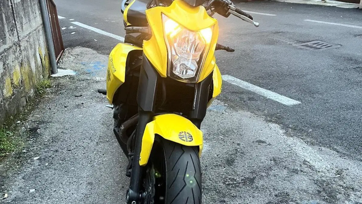 Kawasaki ER-6N (2012 - 13)  (2)