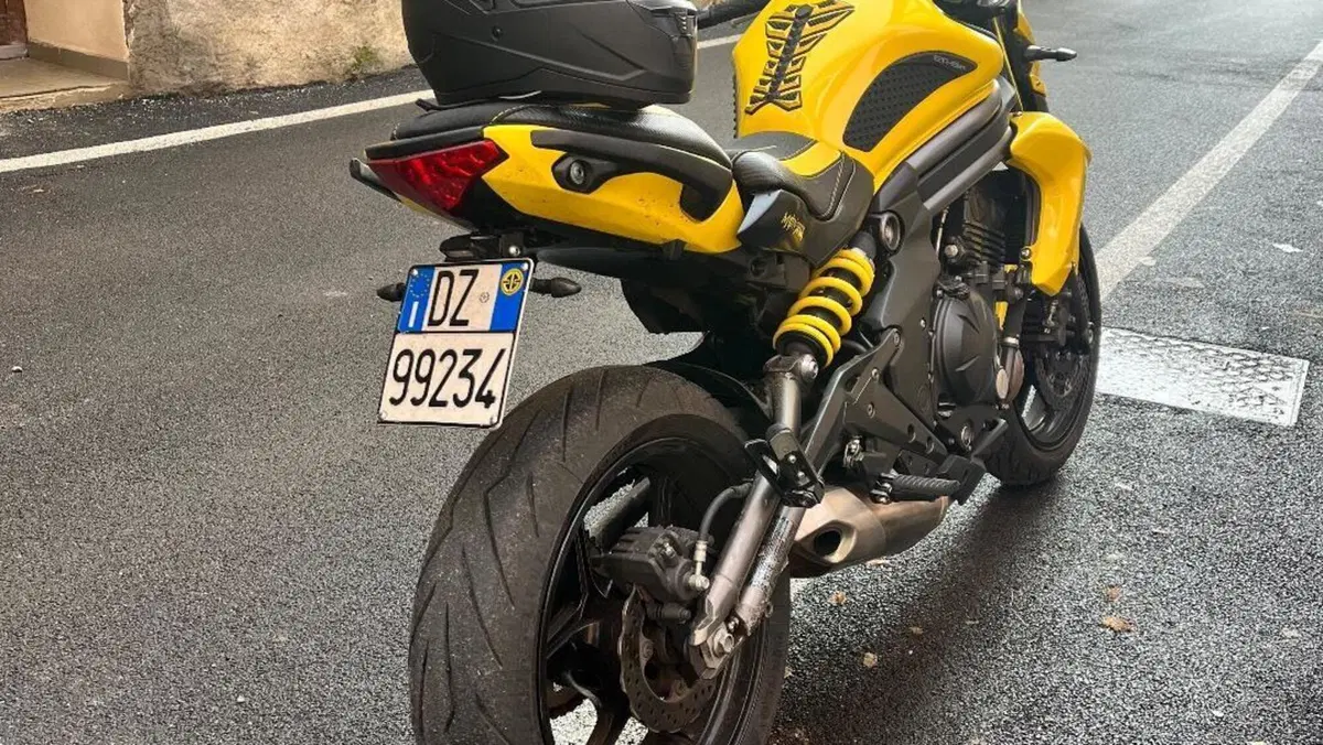 Kawasaki ER-6N (2012 - 13)  (3)