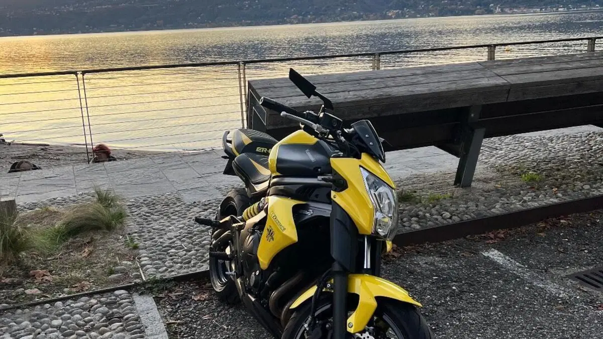 Kawasaki ER-6N (2012 - 13)  (4)