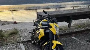 Kawasaki ER-6N (2012 - 13)  (4)