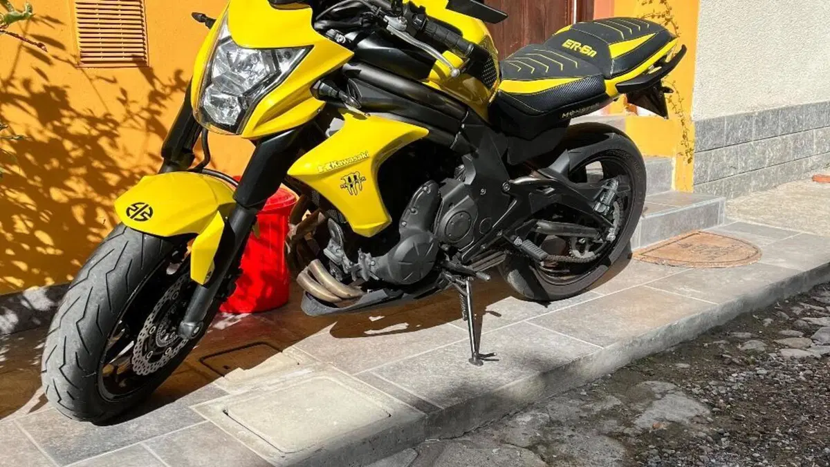 Kawasaki ER-6N (2012 - 13)  (5)