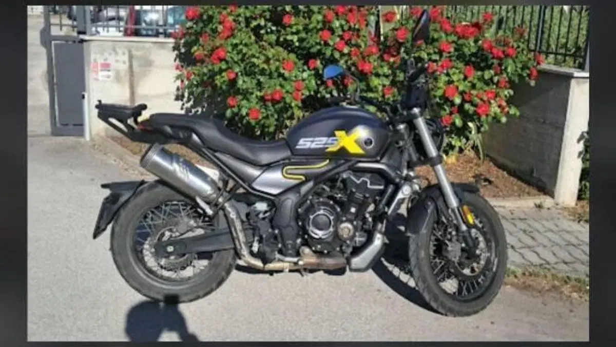 Voge Trofeo 525ACX Scrambler (2023 - 26) 