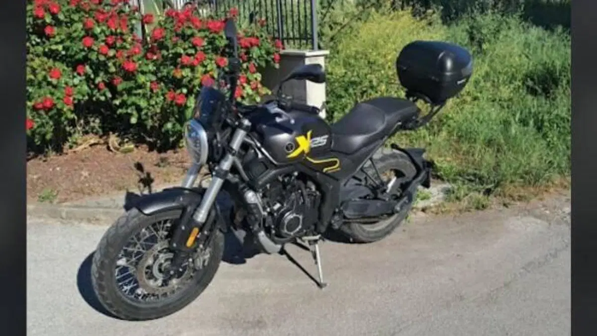 Voge Trofeo 525ACX Scrambler (2023 - 26)  (6)