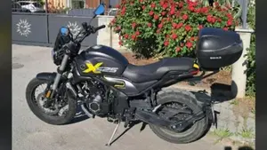 Voge Trofeo 525ACX Scrambler (2023 - 26)  (7)