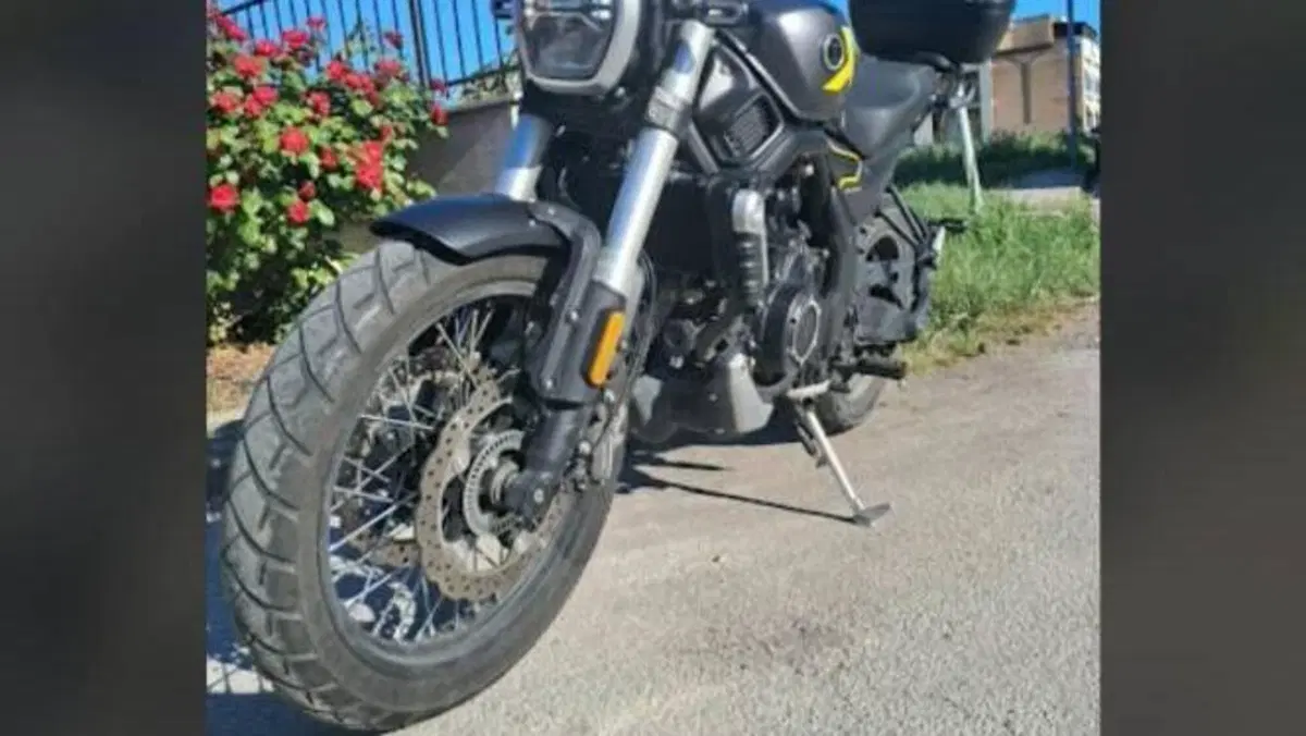 Voge Trofeo 525ACX Scrambler (2023 - 26)  (8)