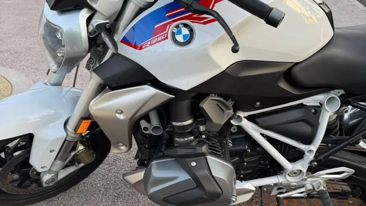 Bmw R 1250 R (2019 - 20)  (2)