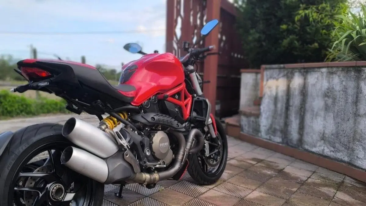 Ducati Monster 1200 (2014 - 16)  (3)
