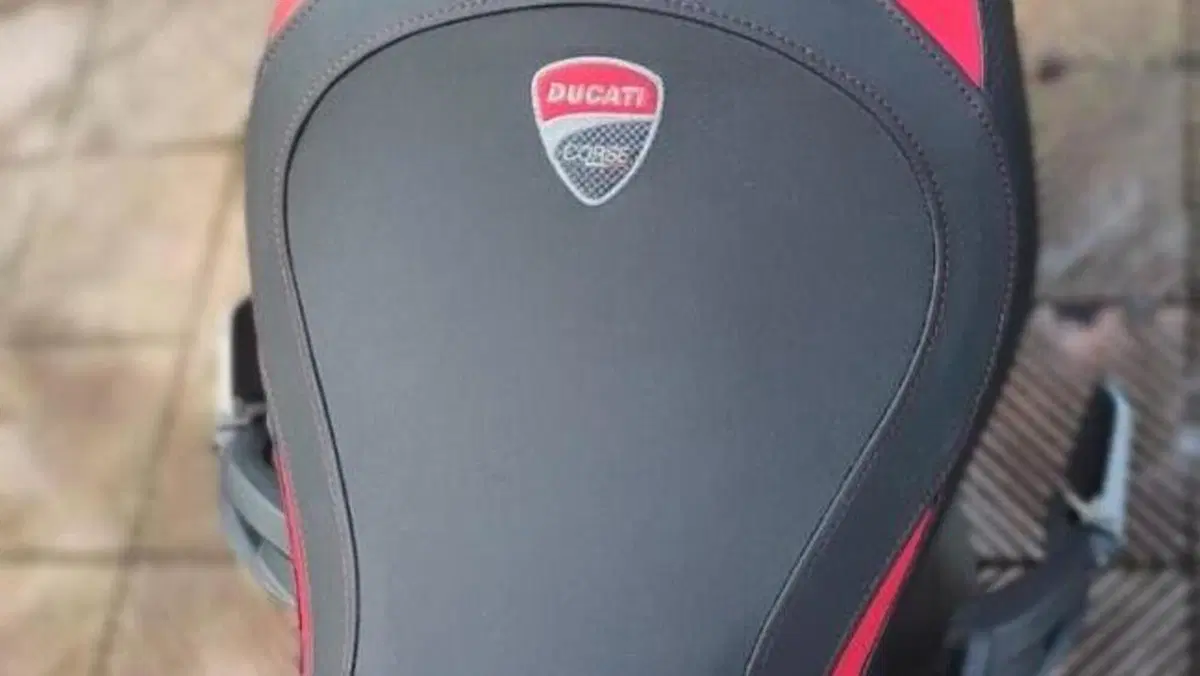 Ducati Monster 1200 (2014 - 16)  (9)