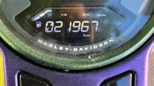 Harley-Davidson 107 Sport Glide (2018 - 20)  (2)