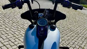 Harley-Davidson 107 Sport Glide (2018 - 20)  (11)