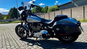 Harley-Davidson 107 Sport Glide (2018 - 20)  (14)