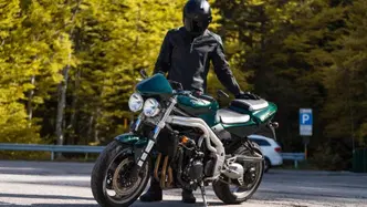 Triumph Speed Triple 955 (2002 - 04) usata