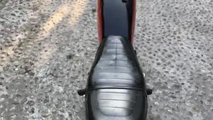 Yamaha   (4)