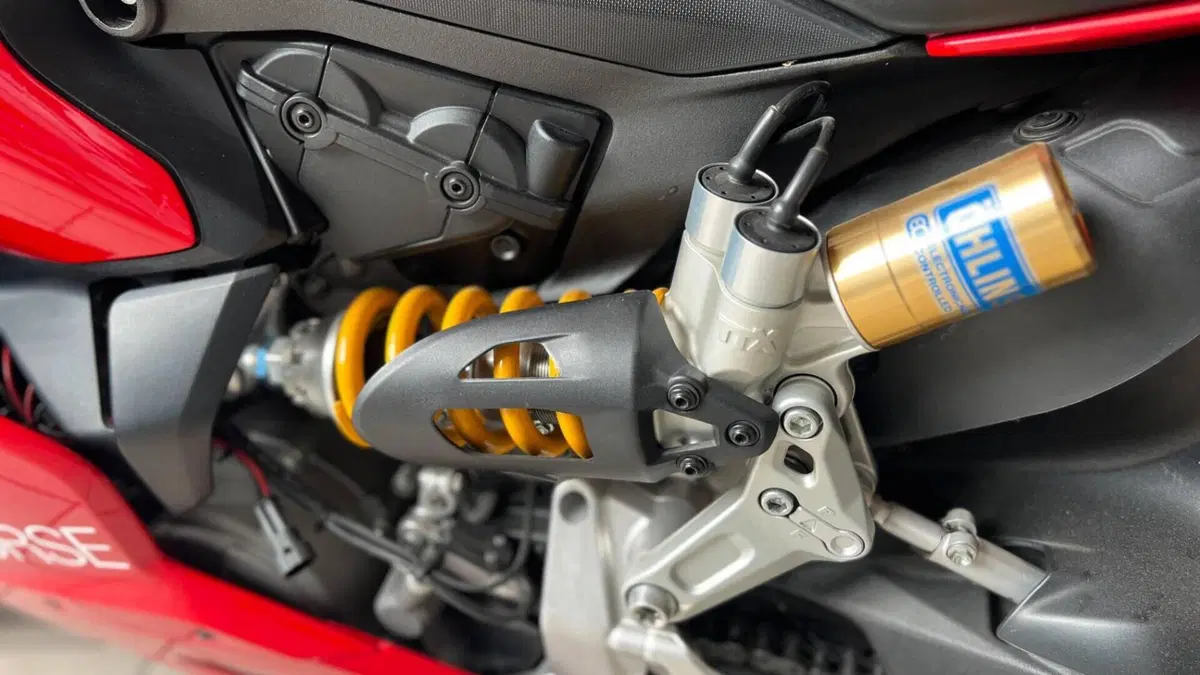 Ducati 1299 Panigale S (2015 - 18)  (11)