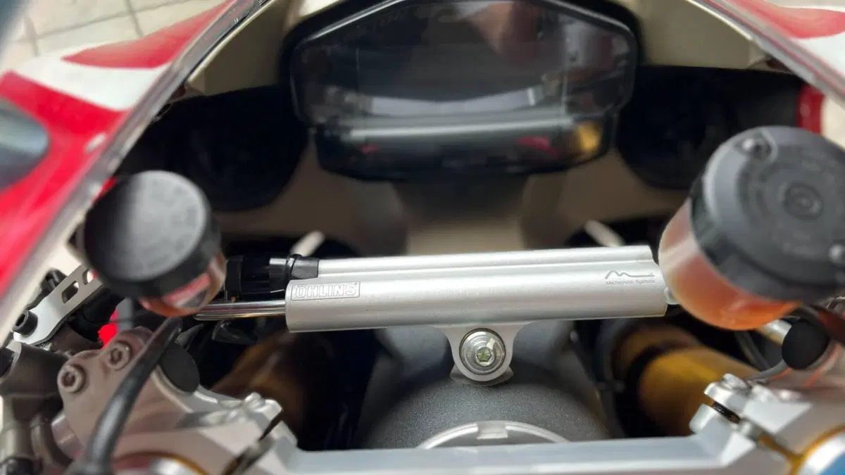 Ducati 1299 Panigale S (2015 - 18)  (12)