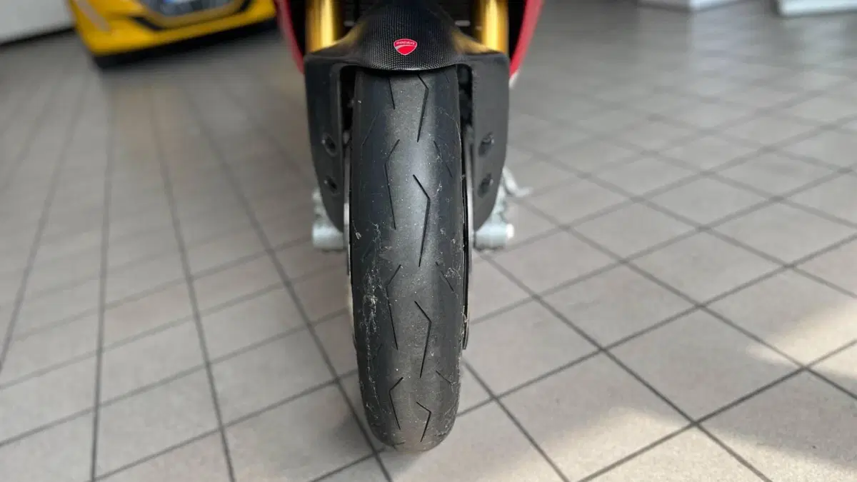 Ducati 1299 Panigale S (2015 - 18)  (14)