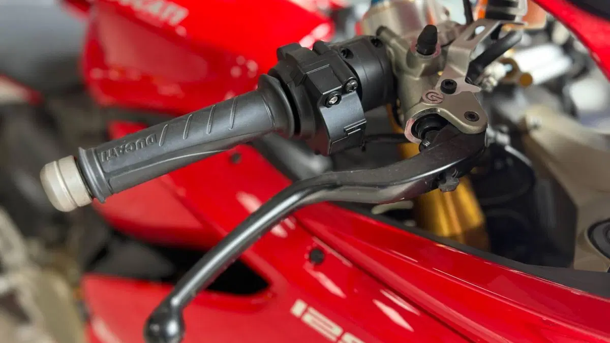 Ducati 1299 Panigale S (2015 - 18)  (16)