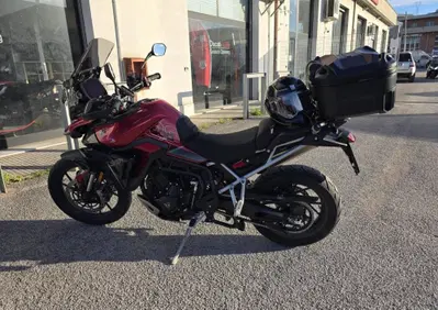Triumph Tiger 900 GT Pro (2024 - 26) - Annuncio 10028570