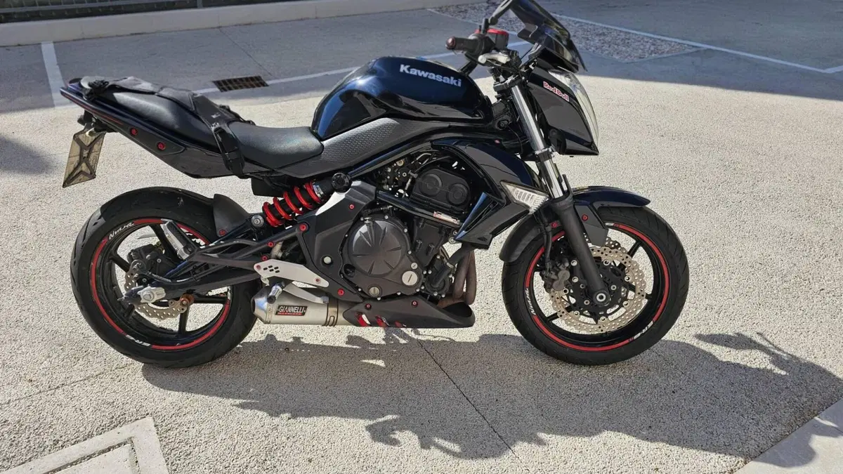 Kawasaki ER-6N (2009 - 11) 