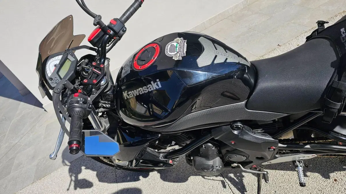 Kawasaki ER-6N (2009 - 11)  (3)