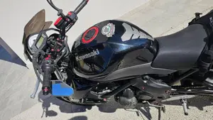 Kawasaki ER-6N (2009 - 11)  (3)