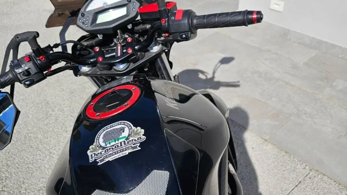 Kawasaki ER-6N (2009 - 11)  (4)