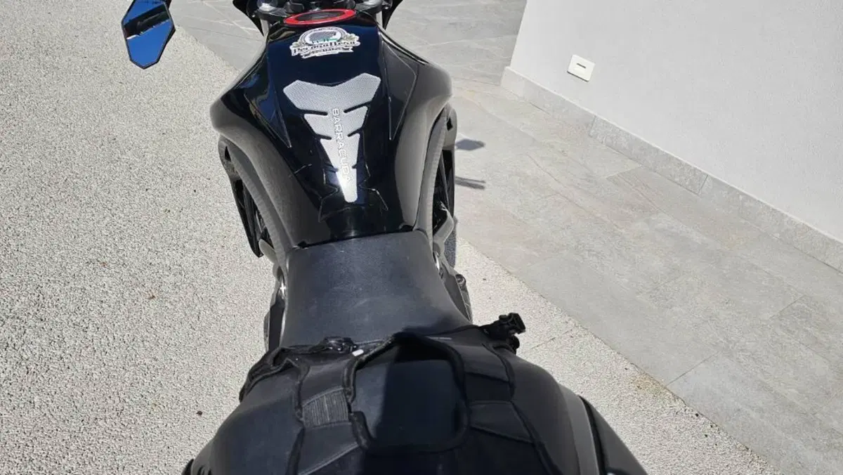 Kawasaki ER-6N (2009 - 11)  (5)