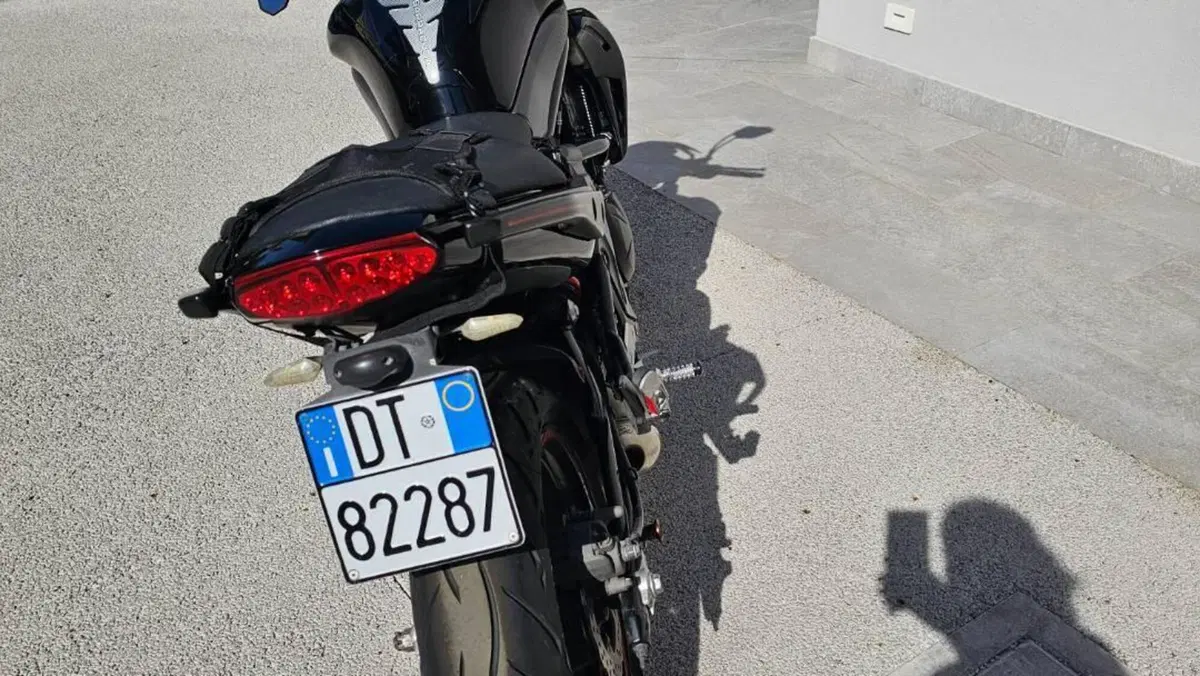 Kawasaki ER-6N (2009 - 11)  (6)
