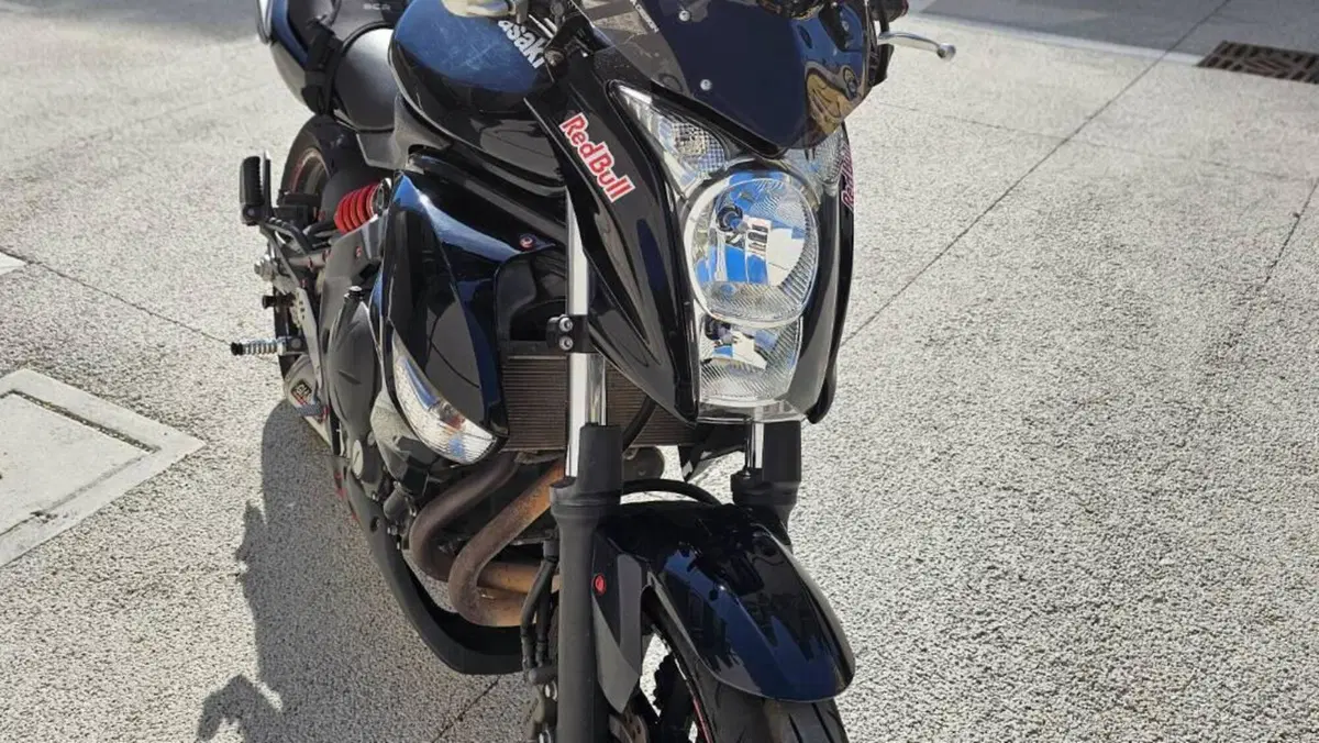 Kawasaki ER-6N (2009 - 11)  (7)