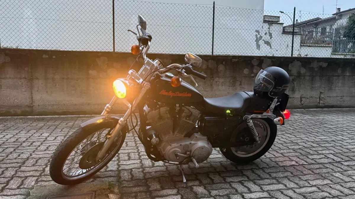 Harley-Davidson 883 Custom (1998 - 00) - XL 53C  (2)