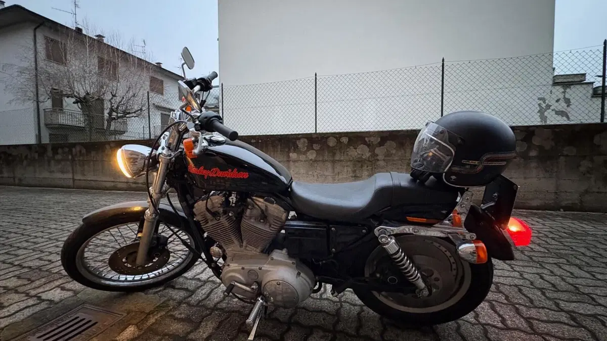 Harley-Davidson 883 Custom (1998 - 00) - XL 53C  (3)