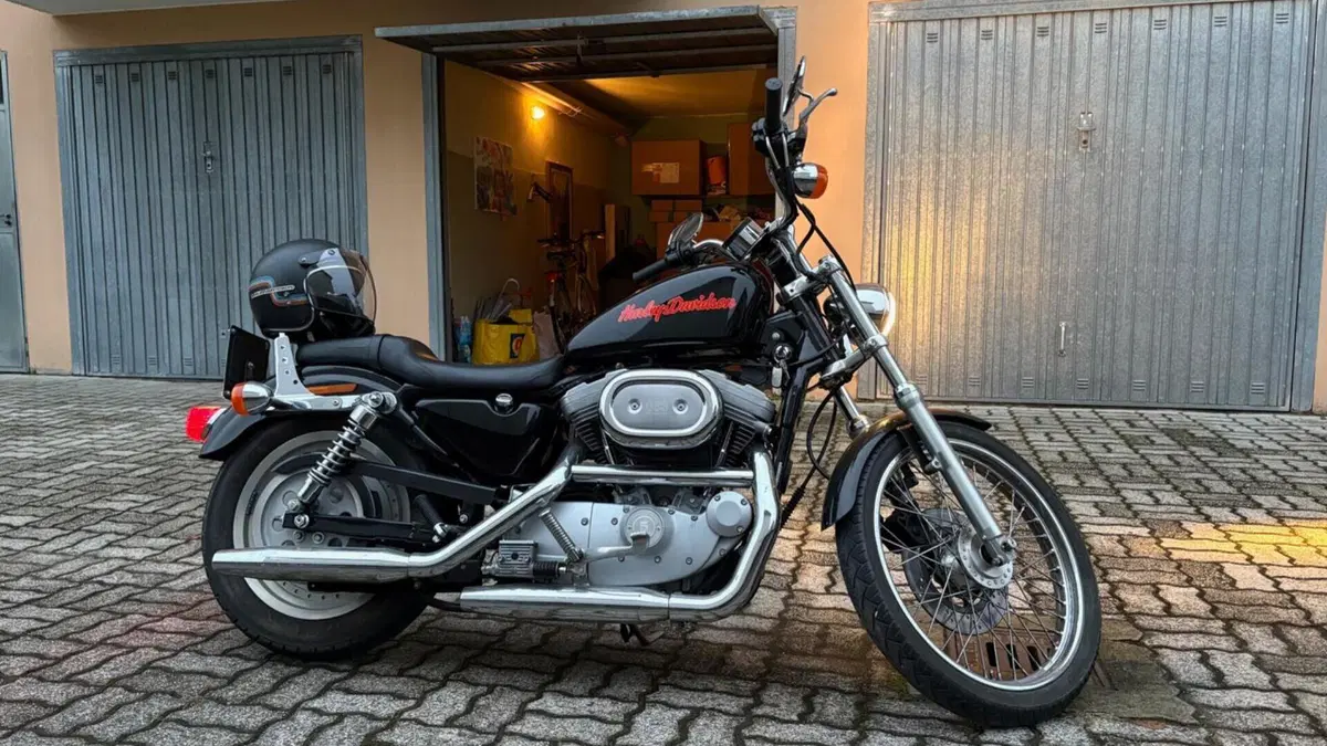 Harley-Davidson 883 Custom (1998 - 00) - XL 53C  (5)
