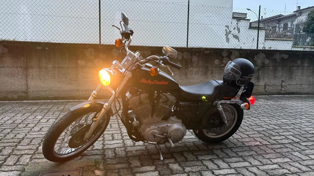 Harley-Davidson 883 Custom (1998 - 00) - XL 53C  (6)