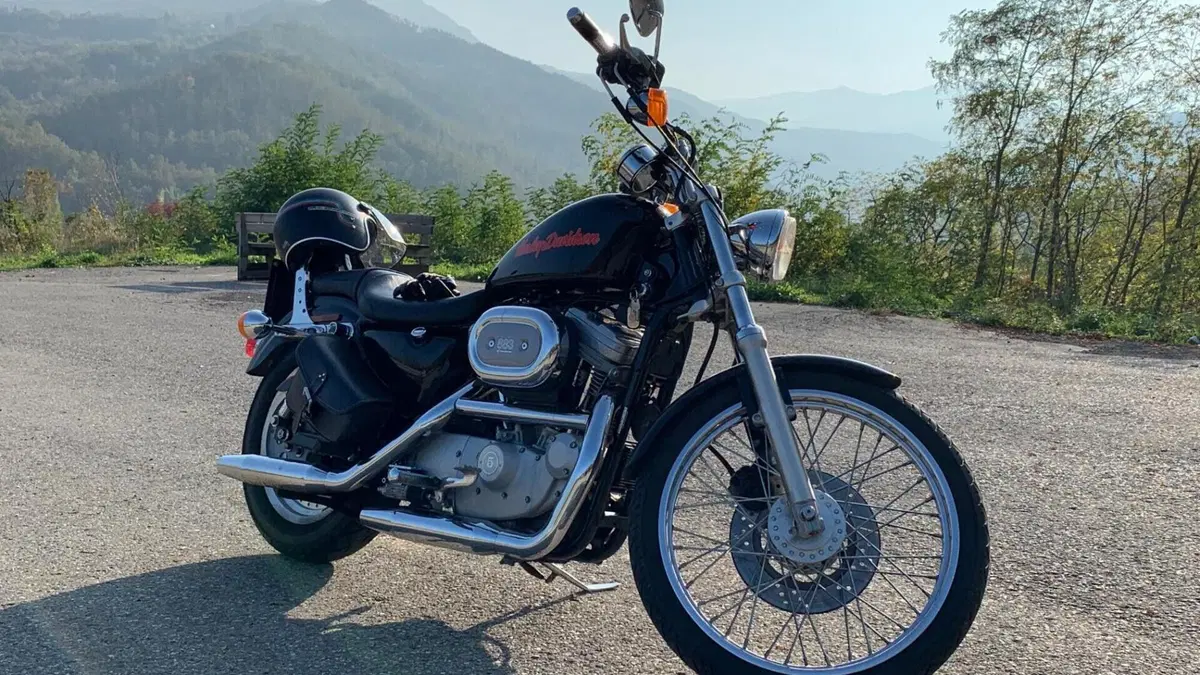 Harley-Davidson 883 Custom (1998 - 00) - XL 53C  (10)