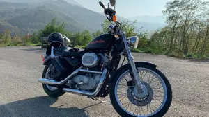 Harley-Davidson 883 Custom (1998 - 00) - XL 53C  (10)