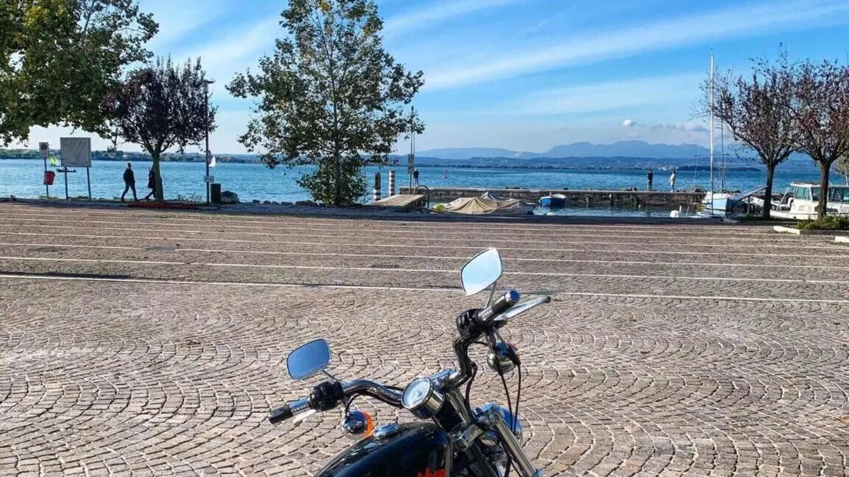 Harley-Davidson 883 Custom (1998 - 00) - XL 53C  (11)