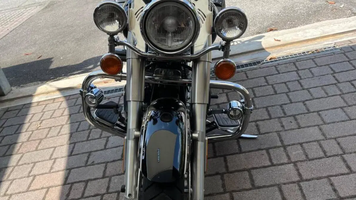 Yamaha XVS 1600 Wild Star  (4)