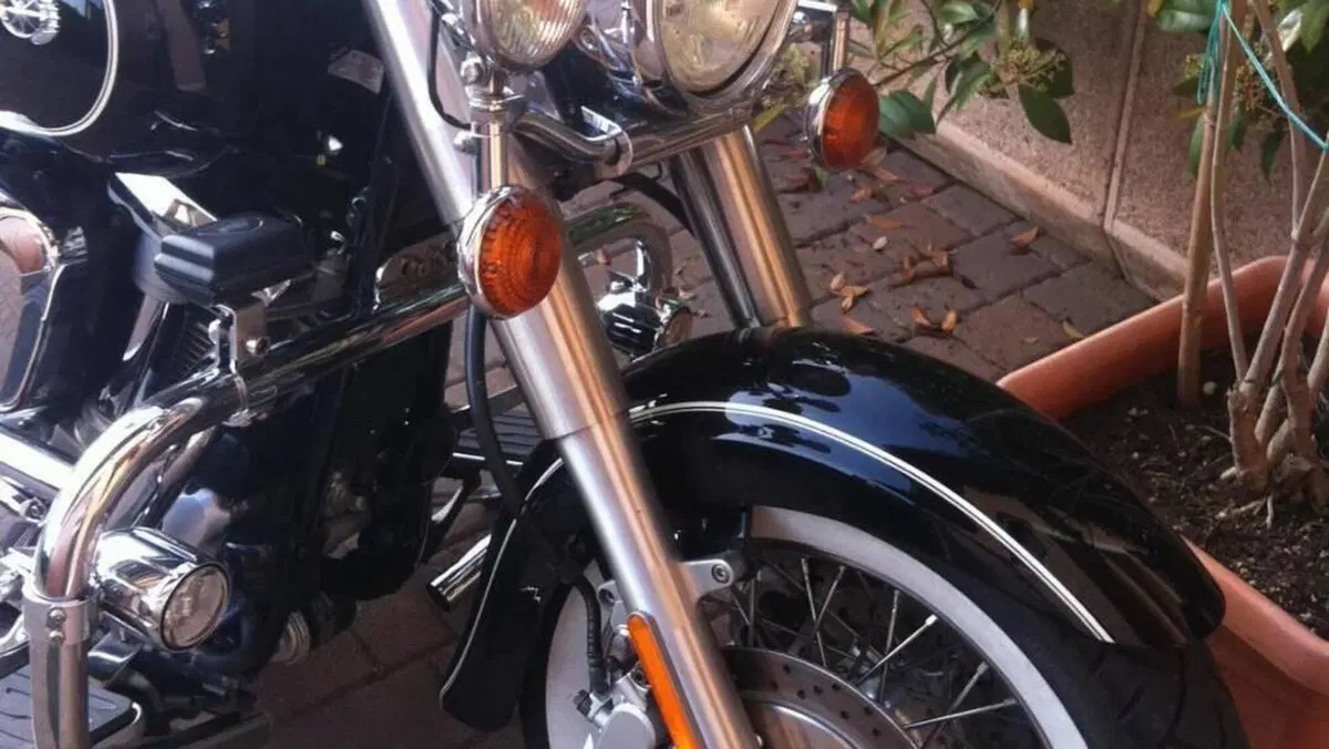 Yamaha XVS 1600 Wild Star  (5)