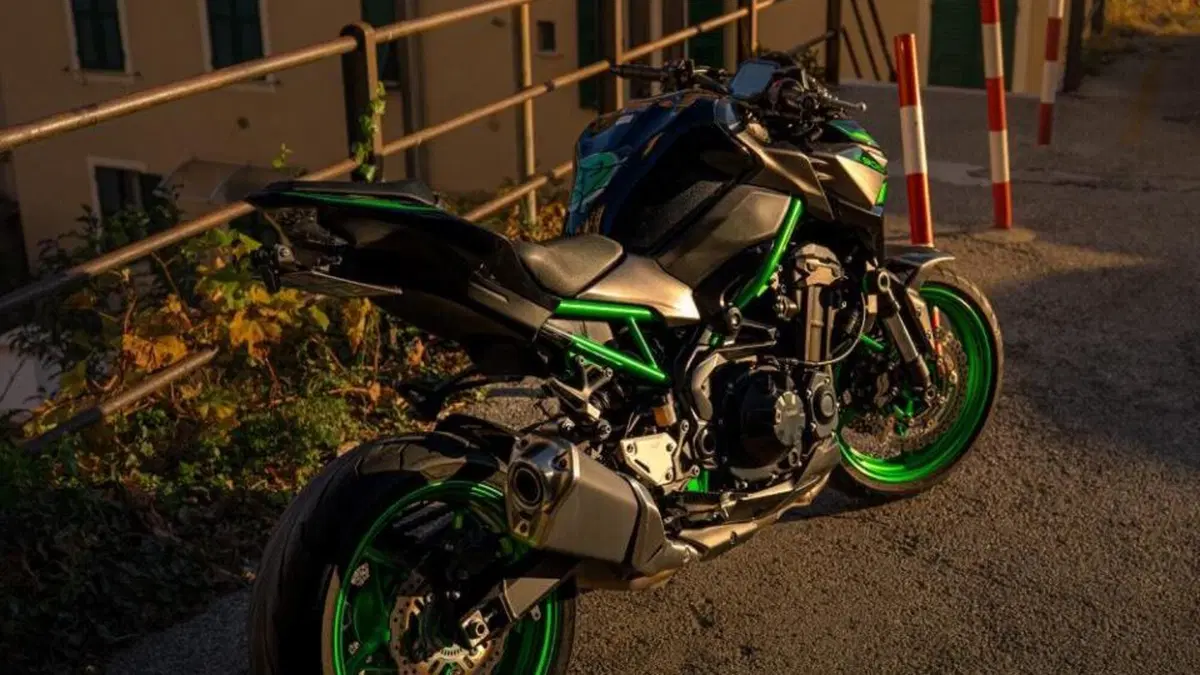 Kawasaki Z 900 A2 (2021 - 24)  (14)