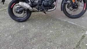 Royal Enfield Himalayan 450 (2024 - 26)  (6)