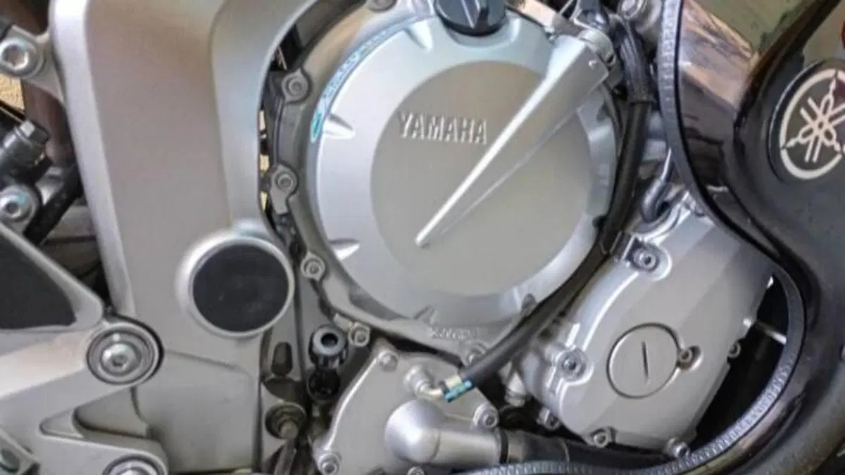Yamaha FZ6 Fazer (2004 - 07)  (2)