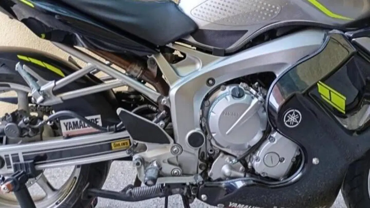 Yamaha FZ6 Fazer (2004 - 07)  (4)