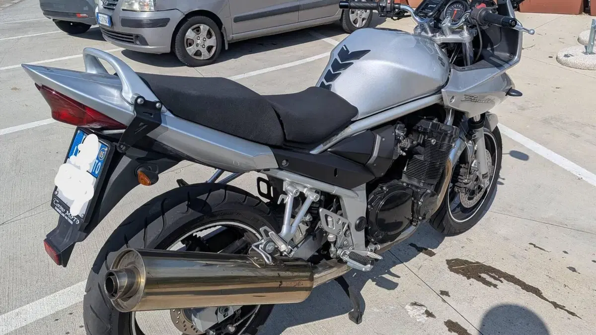 Suzuki GSF 650 Bandit S (2005 - 06)  (2)