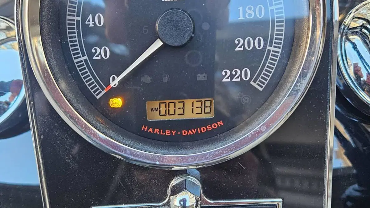 Harley-Davidson 1690 Deluxe ABS (2011 - 16) - FLSTN  (6)